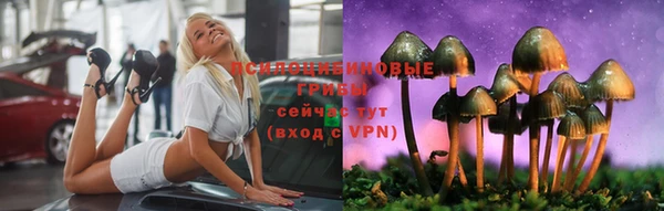 2c-b Корсаков