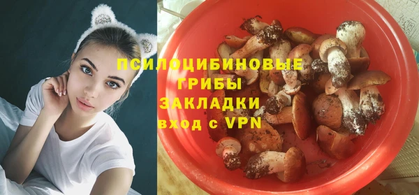 ПСИЛОЦИБИНОВЫЕ ГРИБЫ Коряжма