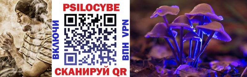 Галлюциногенные грибы прущие грибы  Купить где  Камышин 
